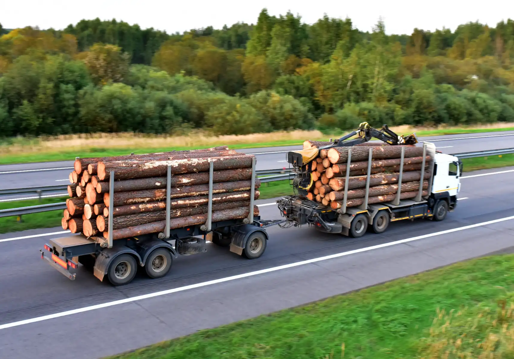 transporte madera